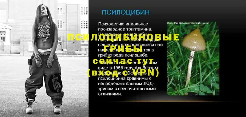 Галлюциногенные грибы мухоморы Советский